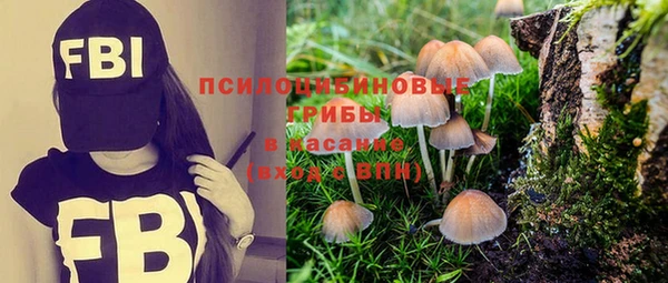 таблы Зерноград